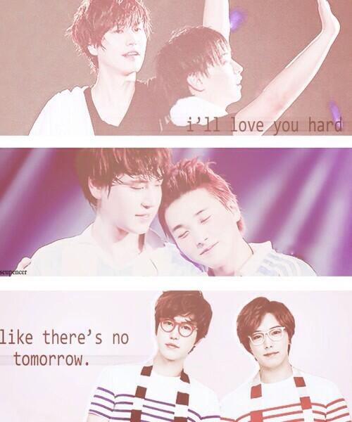 ≽^•༚• ྀི≼ OFF tweet media