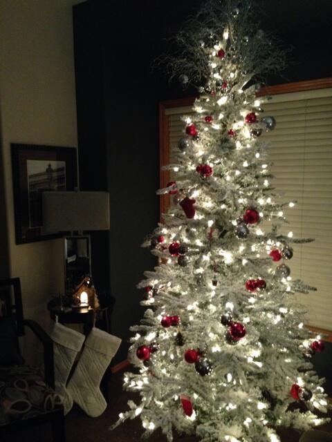 MitchellMJ's tweet photo. Remembering that salvation was hung on a tree. #greatestgift #christmas http://t.co/M5Hj3bumql