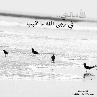 ForBalqees tweet picture