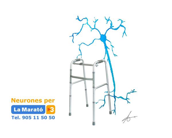 illustraciencia's tweet image. Neurones per #LaMaratoTV3. La solidaritat #nodegenera  via @AlbertBarque cc @BCNeurociencia @la_marato