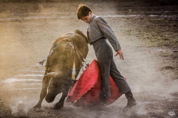 Juan Pedro Llaguno (@pedrollaguno) on Twitter photo 