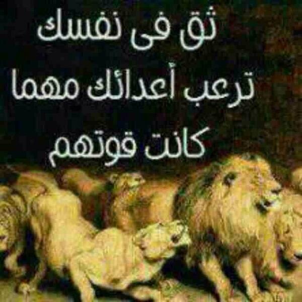 ayad190 tweet picture