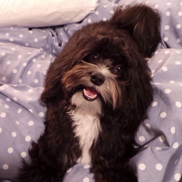 That face, that face, that coverdog face. :-P