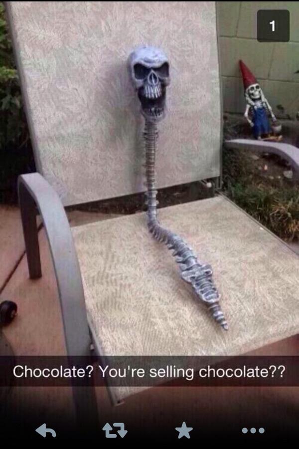 kelanthemachine's tweet photo. @NolanPSchmidt  why will this never stop being funny 😂😂😂 http://t.co/hKVd9pexbL