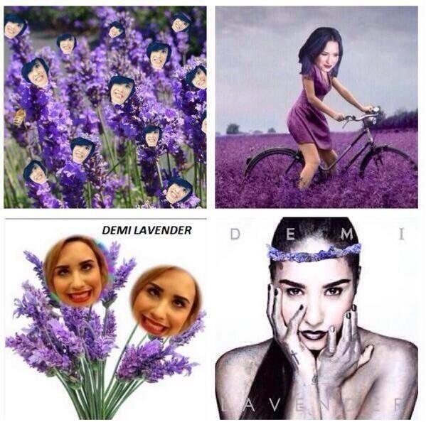 lovaticstefani's tweet photo. @ddlovato  demi lavanda *w* #beautiful http://t.co/tynzokvL5P