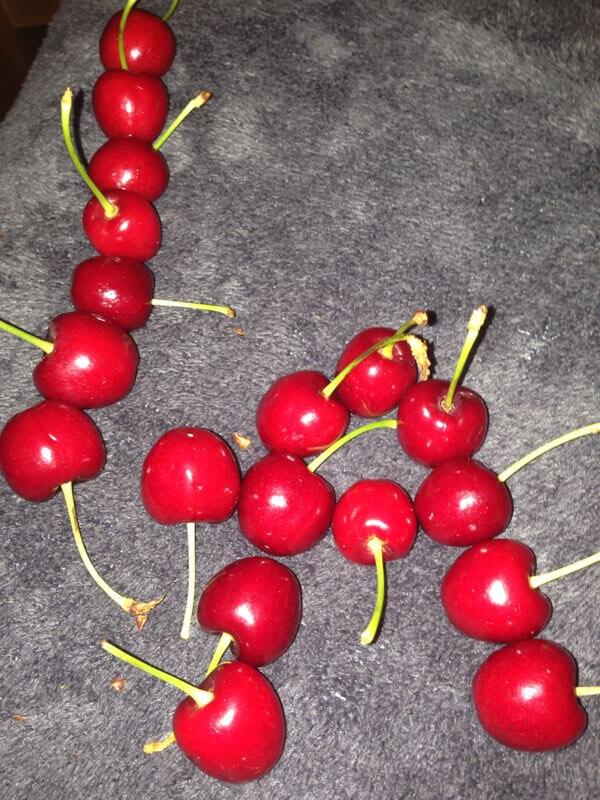 anneri_3's tweet photo. mis my beste vriendin so baie_ @hiyser x http://t.co/roUxY3UqD9