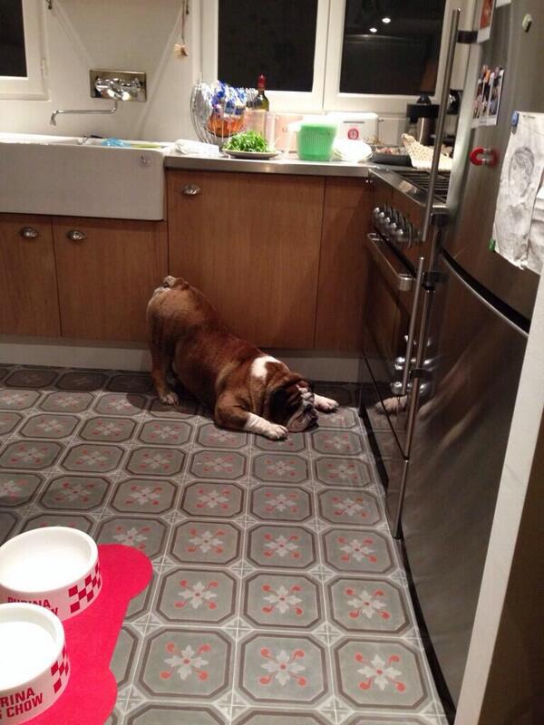 Flo_off's tweet image. En direct j'ai mon nouveau compte twitter officiel !! Pour ceux qui disent que je suis un fake #Hollywoo