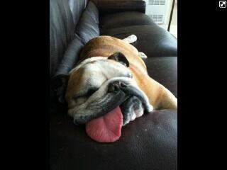 fatigonzalezpr's tweet photo. http://t.co/mMNNJBS2LE