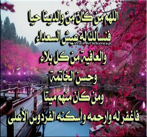 مبارك بن شويع (@mamdoohsaif) on Twitter photo 