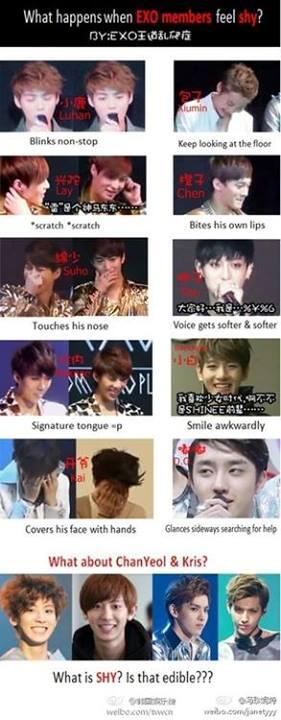 Elf_Inspirit1's tweet photo. what happens when EXO members feel shy ?

cr: owner http://t.co/OJERrDO9Go