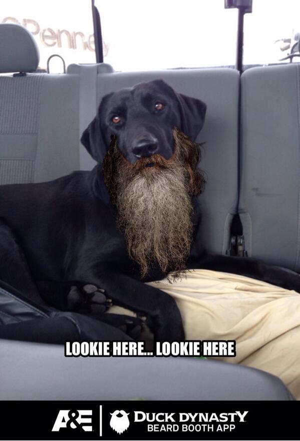 roofhound's tweet photo. @JaseDuckman too far? http://t.co/PVVRmN7smr
