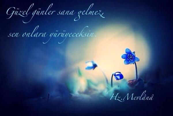 Egemen BAĞIŞ on Twitter: "Günaydın! AB ile vize muafiyet sürecini