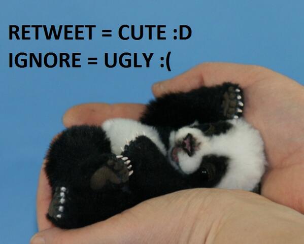 deepistthoughts's tweet image. 