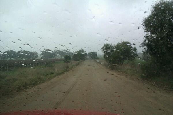 Lin_thomp's tweet image. New season coming and its agood time to say hooroo to you guys xoxo