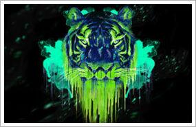 Vincent bouwer tweet media