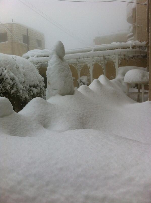 eman_abu tweet picture