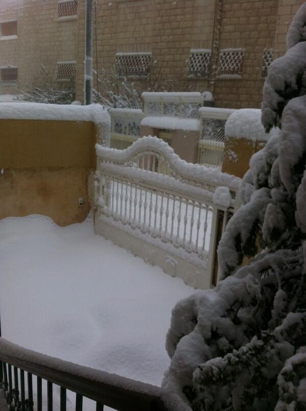 eman_abu tweet picture