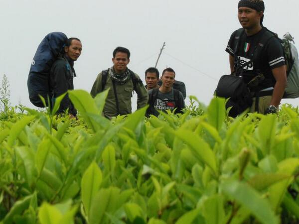 ini gw yg ngajarin si @epin_ajjah biar hasilnya bagusss... hahahaha RT <a href="/theDIAN_ID/">Then Must Dee</a> Cikuray ceria 1