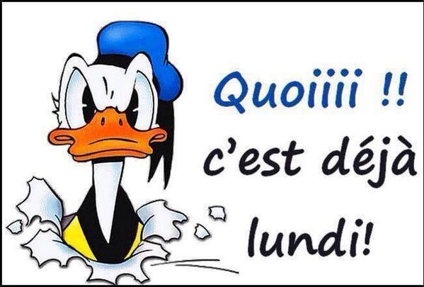 clwstwr's tweet photo. OUI!!!!! WHO DOESN'T HATE MONDAYS???? GOOD MORNING WORLD!!!! http://t.co/A3Sdg5h4HS