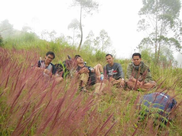 keren khan klo gw yg ngambil... huhuhuhuhu.... RT <a href="/theDIAN_ID/">Then Must Dee</a> Cikuray ceria 2