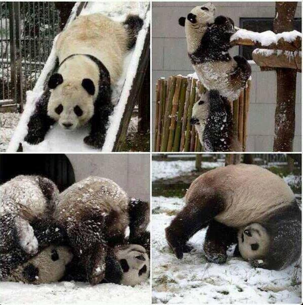 Karın tadını çıkarmayı biliyorlar :)