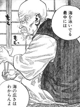 Twitter 上的 漫画名シーン 柳生石舟斎 バガボンド 海を泳いでる最中に海の広さはわからんよ Http T Co Wegyjjl4eo Twitter