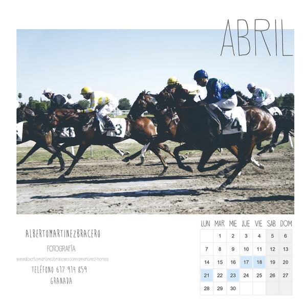 amartinezphotos's tweet photo. El twit nº100 para anunciaros el #Calendario #2014 que hemos hecho.Que os parece? #caballos #feliz2014 http://t.co/HiCDavZx9r