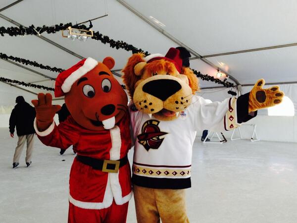 lanierislands's tweet photo. Hey! It's Bucky and Maximus hanging out with the @gwtgladiators and @gooddayatlanta! #bff4life #mnol http://t.co/E9ILHcmJzd