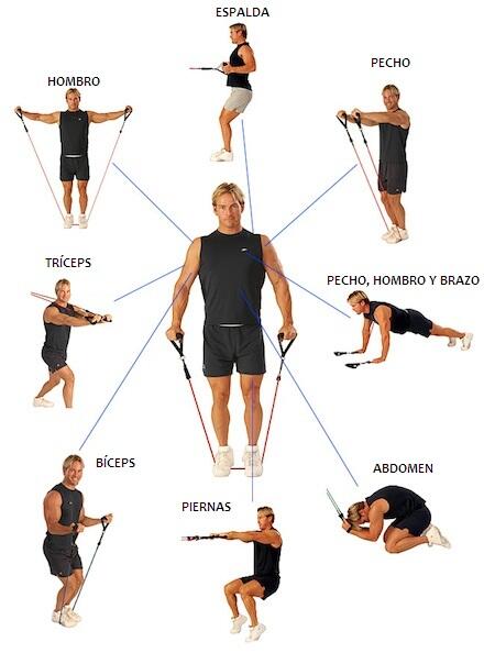 MedicisGym's tweet photo. El GYMLASTIC es un sistema de entrenamiento con múltiples posibilidades de ejercicios para trabajar todo el cuerpo. http://t.co/sW97uPazBX