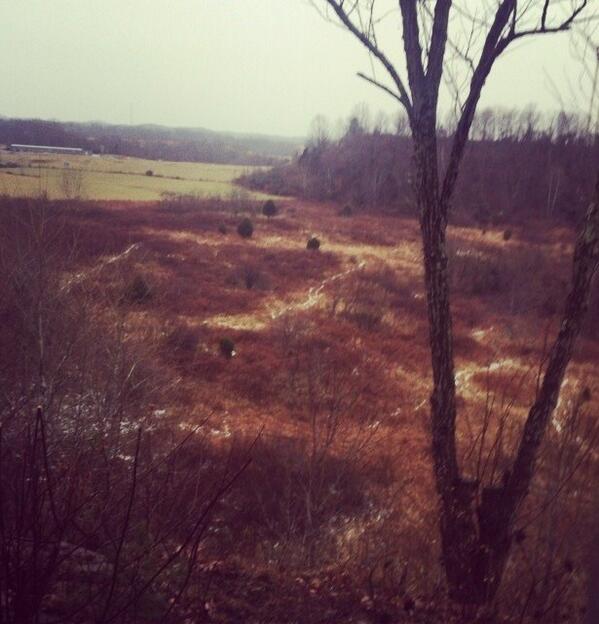 cole_adkins's tweet image. How I'm spending my day in the woods #muzzleloaderseason