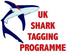ReelFunFishCo's tweet image. We're part of the UK Shark Tagging Programn