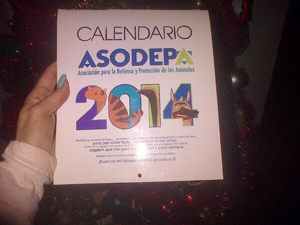 leilamar73's tweet photo. Ayudemos a los peludos, con el calendario @Asodepa es hermoso,de calidad y muy profesional! http://t.co/b0PkVaeLmu