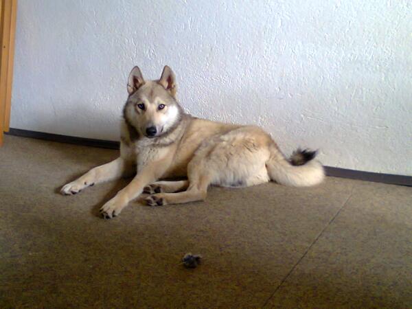 pinansan's tweet photo. http://t.co/GTPaTiDQ3n