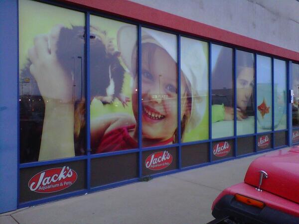 GCI_Wraps's tweet image. Window Graphics to get your company NOTICED!!! starting off at $4.99 a Square Foot.#graphics #windowgraphics #window