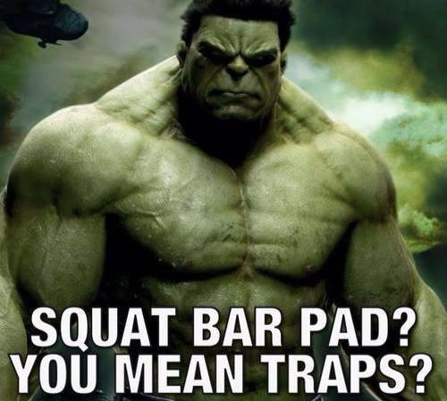 AlexFerentinos7's tweet photo. People who say the bar hurts their neck when they squat and use that silly pad...don't; learn correct bar placement. http://t.co/nGVIOsyrFP