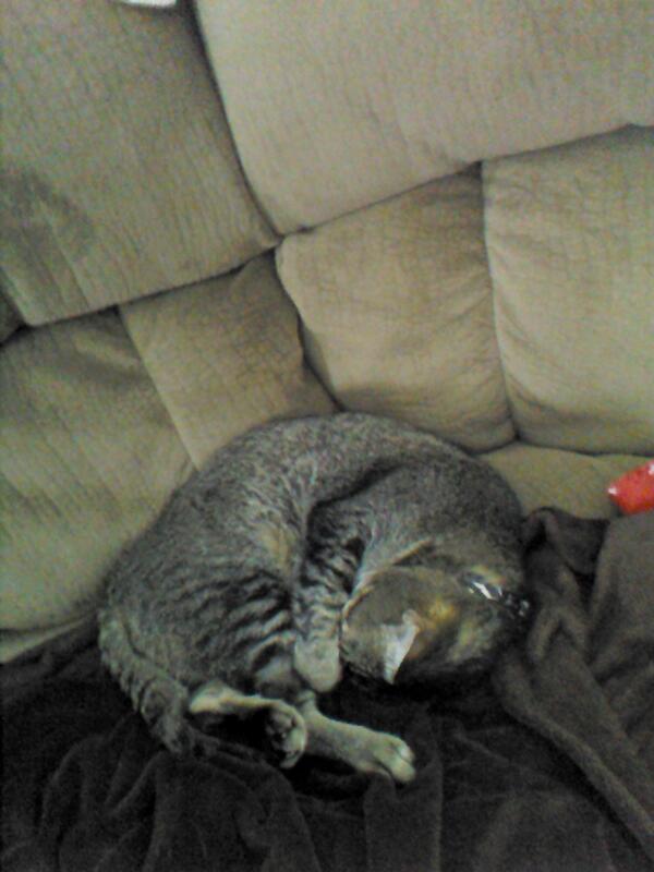 "Leave me alone I'm trying to sleep here!"