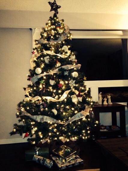 DBoschman's tweet photo. Waited as long as I thought possible... @BBoschman we'll see how long it stays standing with #mrgrabbypants http://t.co/SOTFCCd0D2