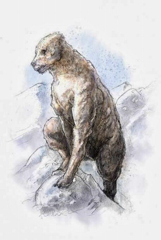 amhaunted's tweet photo. In pursuit of the #YetiBear: #DrBryanSykes named #Cryptozoologist of the Year http://t.co/n38dxmvrg2 @CryptoLoren http://t.co/3f1va8mckZ