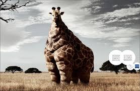 BethanyEllis16's tweet photo. This makes me laugh :DD http://t.co/RTIsJUMRBr