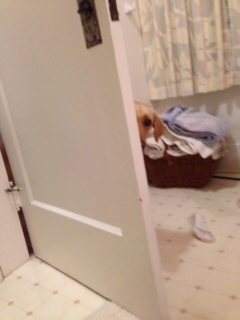 Peek a boo with <a href="/mv/">Mary Verrilli</a>