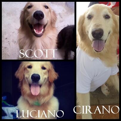 ClubGRBarqto's tweet photo. Scott, Luciano y Cirano .. BUSCAN NOVIA! http://t.co/ksbIvbOTDe
