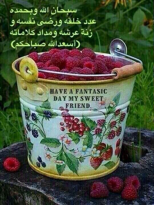 MishalOtaibi2's tweet photo. مليارات الحسنات في أربع كلمات

سبحان الله وبحمده عدد خلقه ورضا نفسه وزنة عرشه ومداد كلماته ،
ثلاث مرات .

 http://t.co/iVdruBcWZj