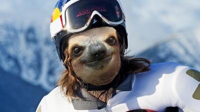 MorphSloth's tweet image. Ski Sloth
#Photoshop