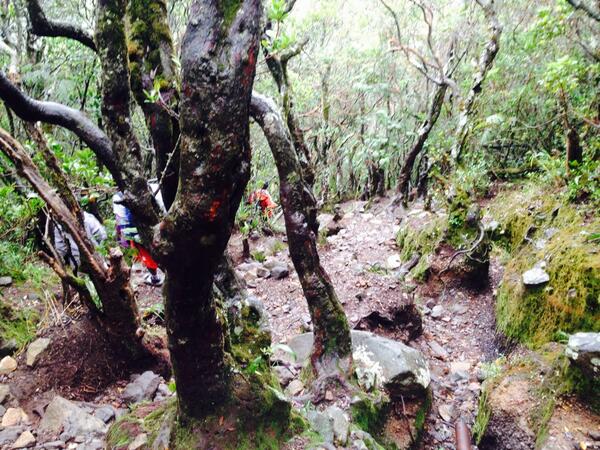 bacpacktrip's tweet photo. morning sob,tanjakan setan nih mt.gede :D #nexttripholiday http://t.co/uqtpl5knZM