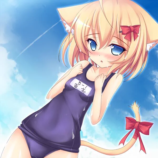 ありゃ、張り忘れた。。。 