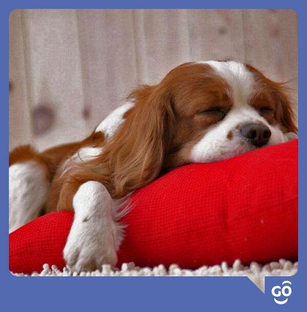 TigoParaguay's tweet photo. ¡Es martes! y seguís así! :D #SmilePoint http://t.co/wmNKwvpOMx