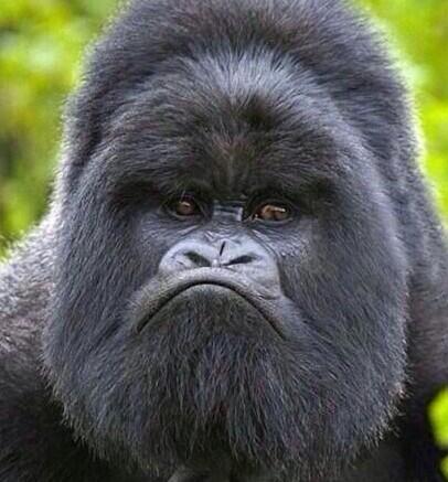 TurtleFaces's tweet image. .@mackenzzz_moran you did just by using #turtleface I'm sure you can redeem it. Check out this one and try again!