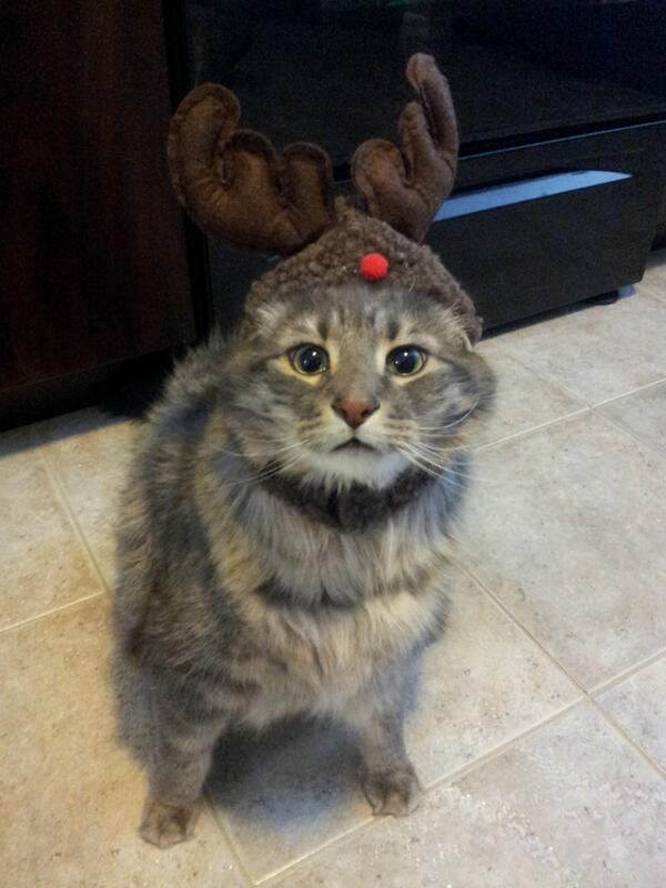 BadWhiteboyRaps tweet media