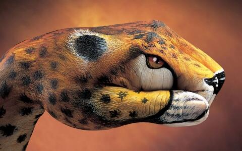 A3Noticias's tweet photo. Guido Daniele, el artista que transforma las manos en fieras salvajes con 'body painting' http://t.co/SQDcaxvywQ http://t.co/l77zlGlxwu