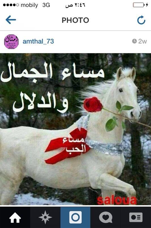 استغفر الله  (@mms1424) on Twitter photo 